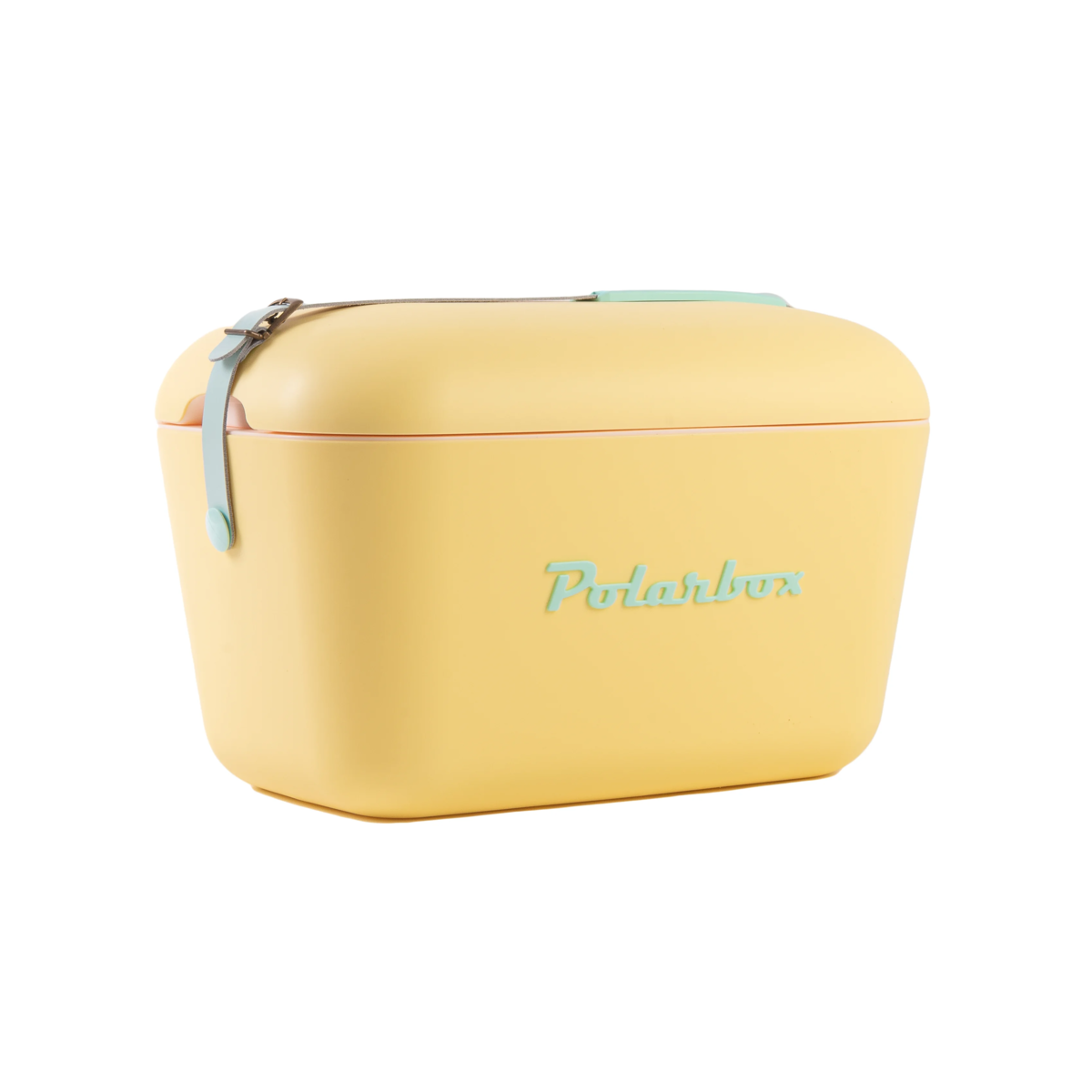 POLARBOX Chladící box 20L