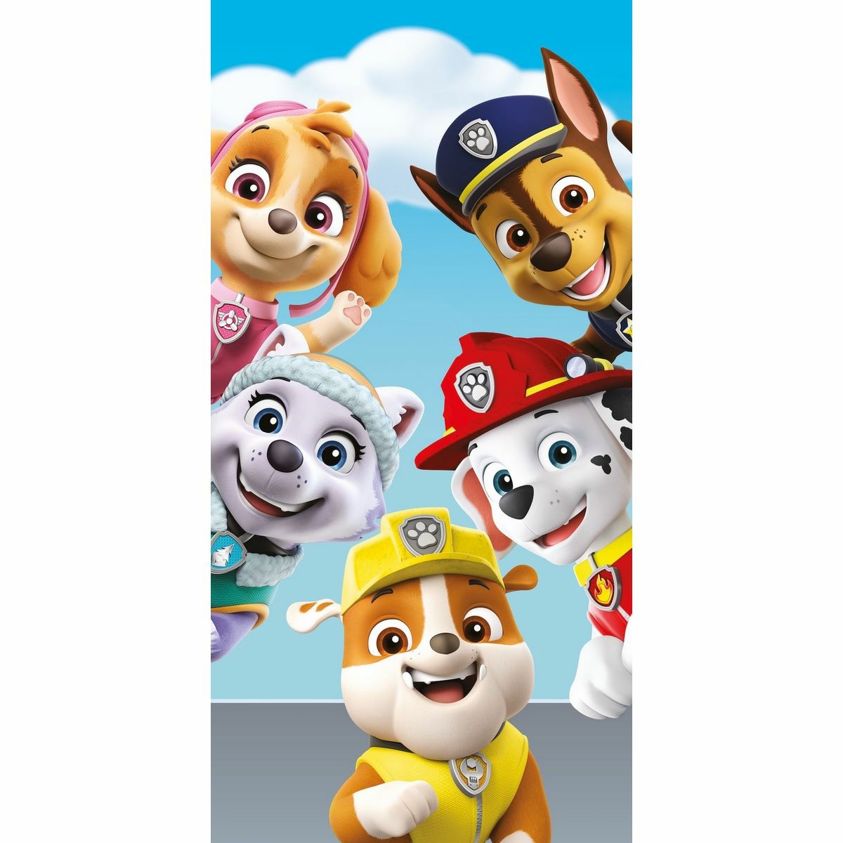 Jerry Fabrics Osuška Paw Patrol PP327