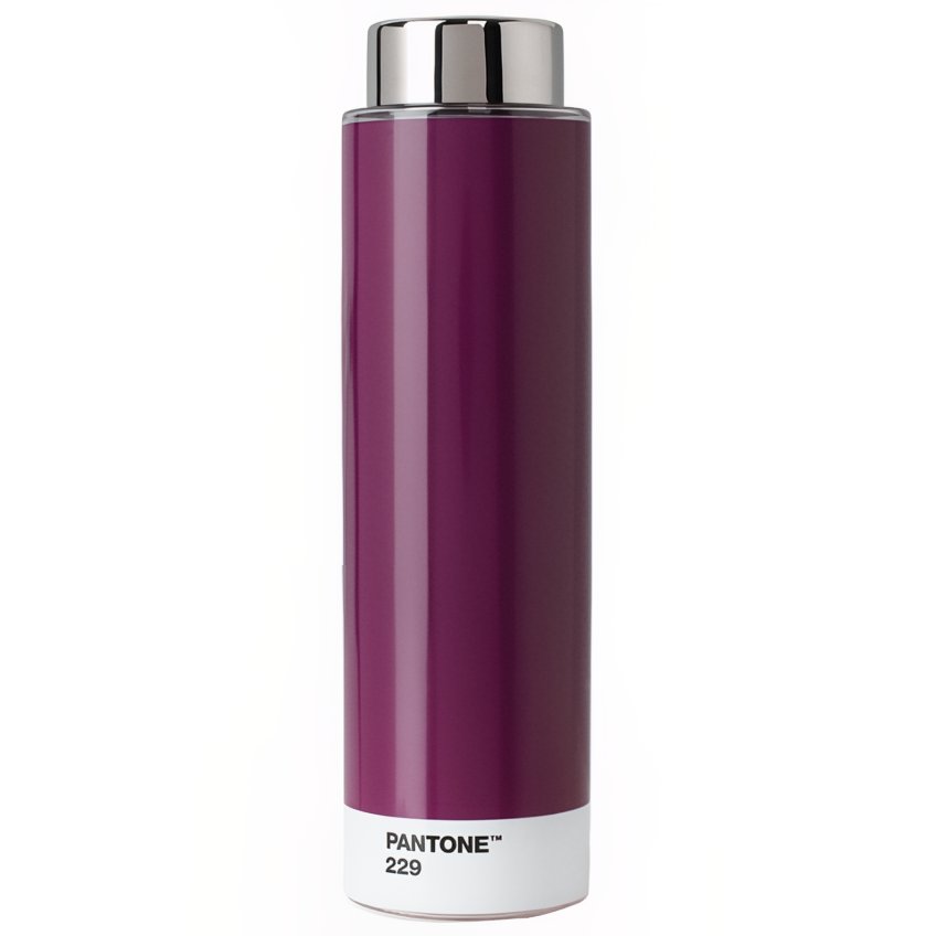 Fialová kovová láhev Pantone Tritan Aubergine 229 500 ml